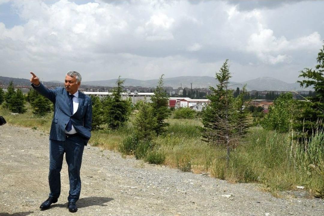 Isparta&rsquo;da &Ccedil;&ouml;p Depolama Alanı &Ccedil;evresi Ormana D&ouml;n&uuml;şt&uuml;