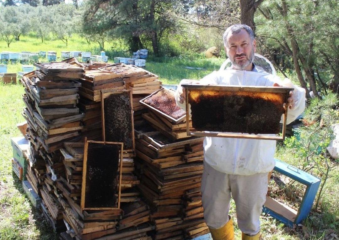 (&ouml;zel Haber) Bursa&rsquo;da Arı &Ouml;l&uuml;mleri Artarak Devam Ediyor