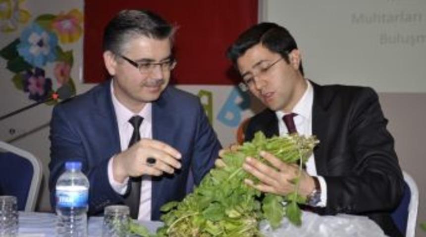 Mihalgazi Ve Sarıcakaya&rsquo;nın En &Ouml;nemli Tarımsal Sorunları &Ccedil;&ouml;z&uuml;ld&uuml;