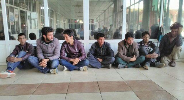 Adana’da 50 Kaçak Afgan Yakalandı