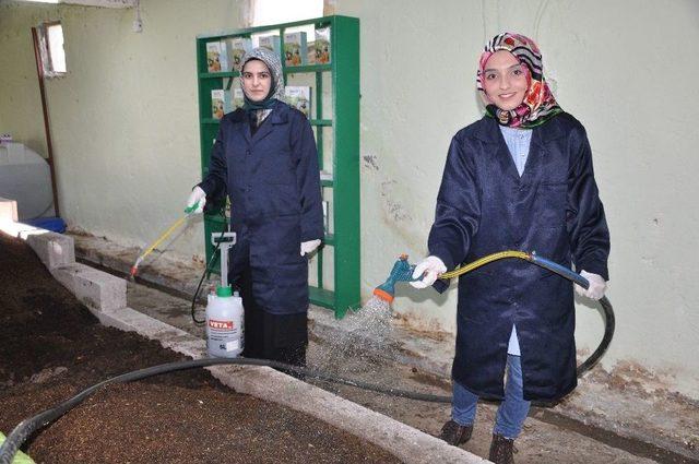 Bileziklerini Satıp, Organik Solucan Gübresi Üretimine Başladılar