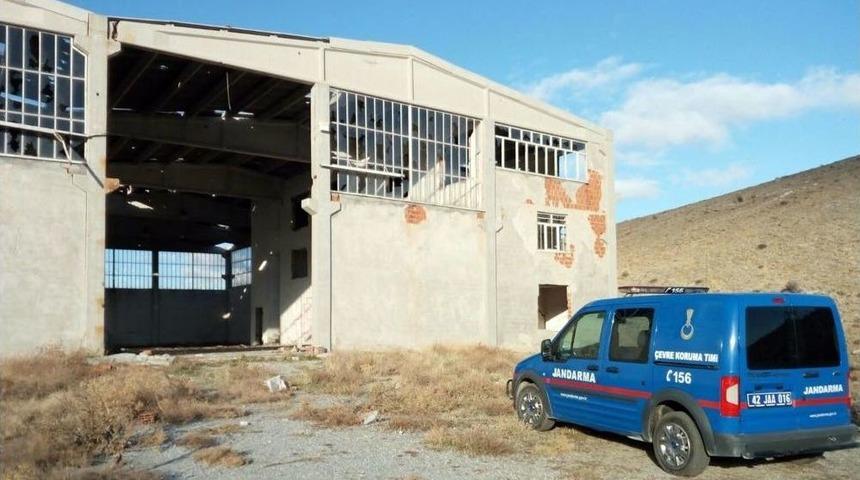 Konya&rsquo;da At Kesildiği İddiasına İnceleme