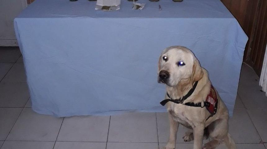 Uşak&rsquo;ta 412 Gram Esrar Ele Ge&ccedil;irdi