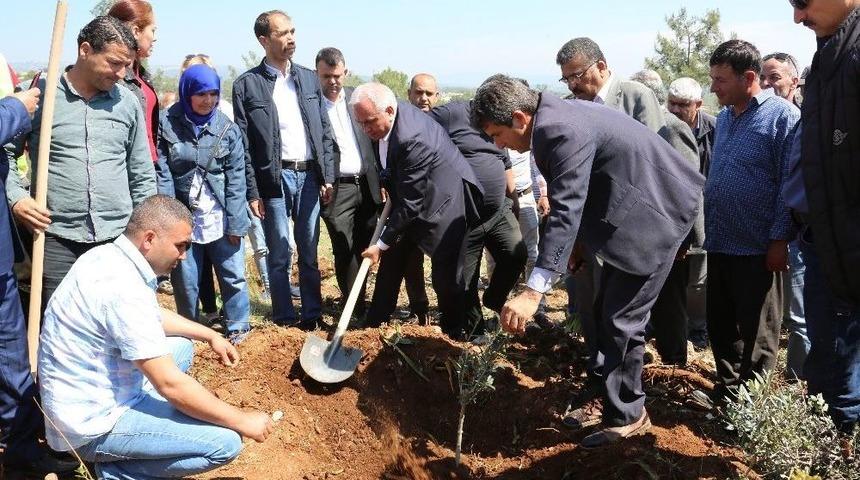 Erdemli&rsquo;de &rsquo;alparslan T&uuml;rkeş Hatıra Ormanı&rsquo; Oluşturuldu