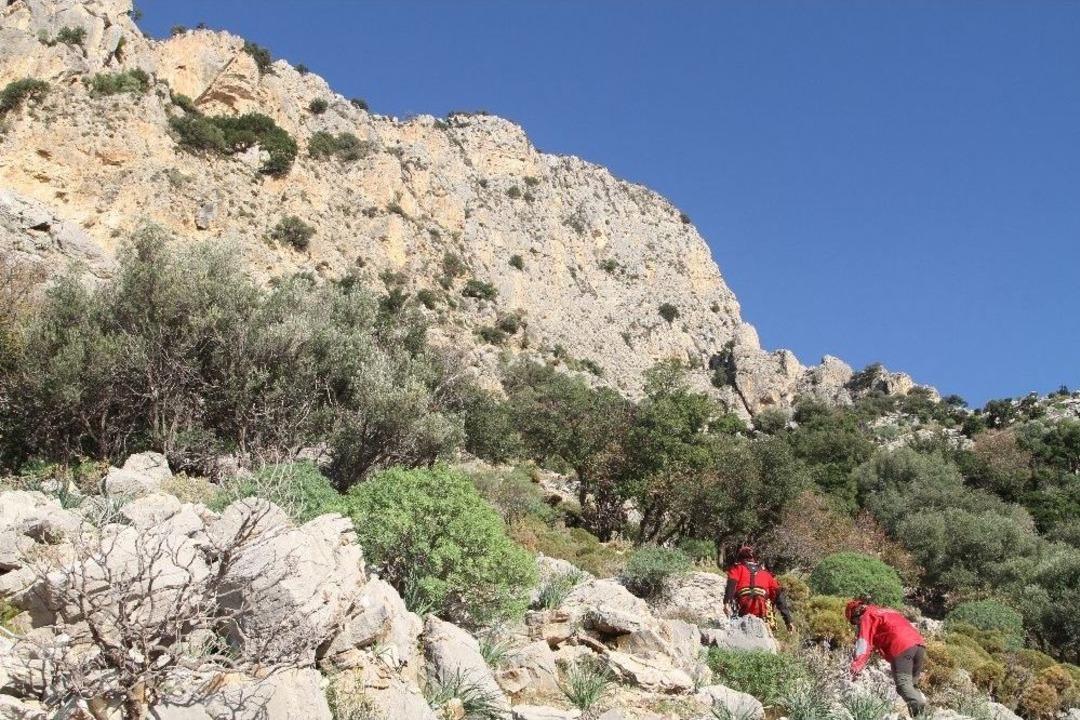 Kayalıklarda Mahsur Kalan Adamı Akut Kurtardı