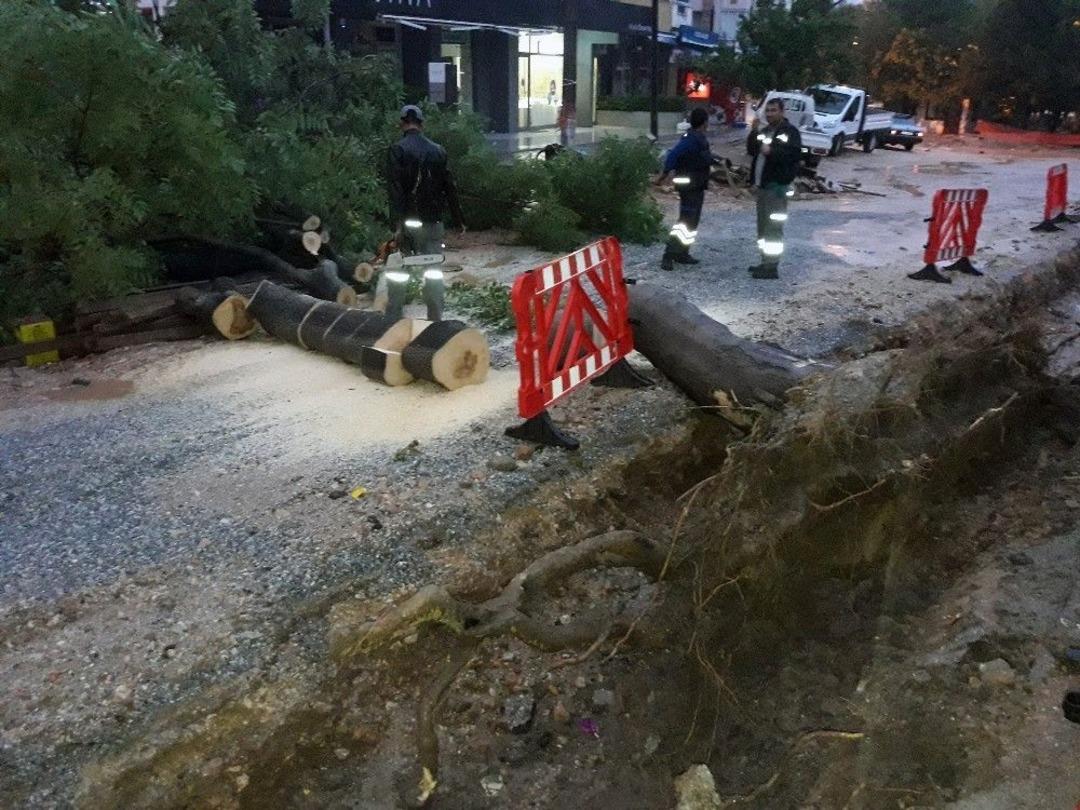 Muğla&rsquo;da Yağmur, Su Baskınlarına Sebep Oldu