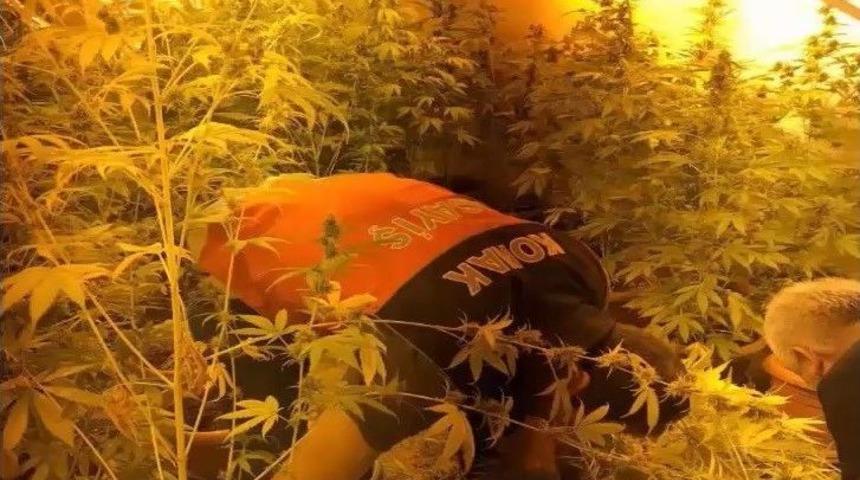 İzmir&rsquo;de Uyuşturucu Madde &Uuml;reticilerine Operasyon