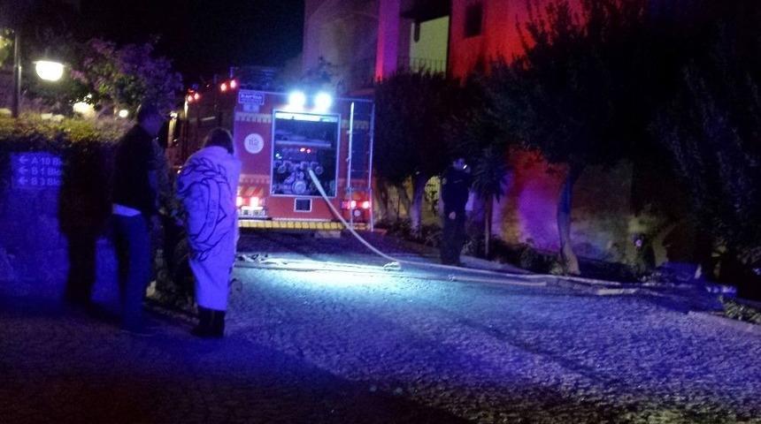 Kedi Yangında Telef Oldu