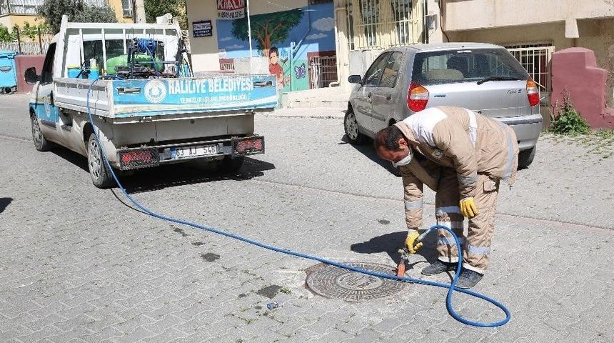 Haliliye Belediyesinden Haşere Ve Sinekle Etkin M&uuml;cadele