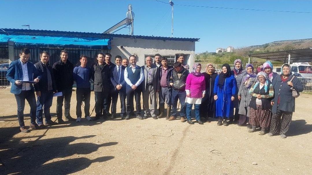 Kulalı Gen&ccedil; &Ccedil;ift&ccedil;ilere 96 D&uuml;ve Dağıtıldı