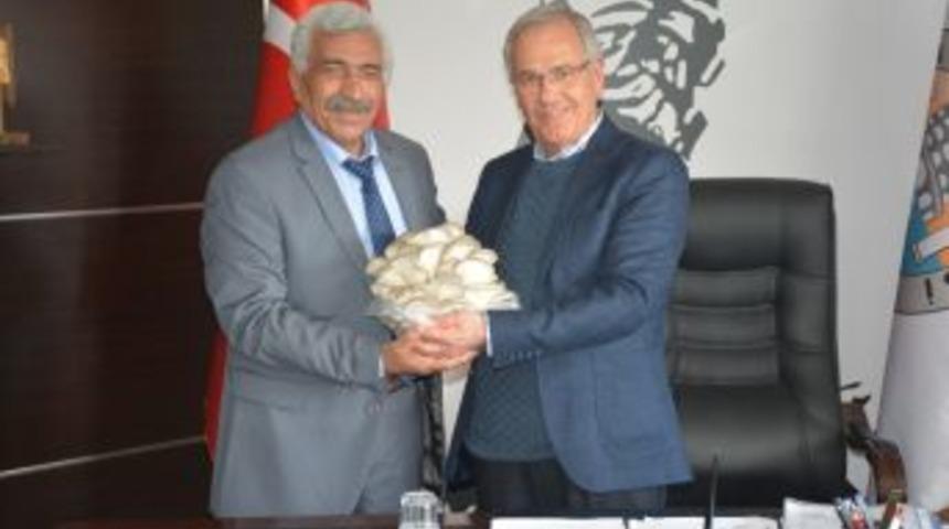 Afyonkarahisar&rsquo;da Organik İstiridye Mantarı &Uuml;retimi Başladı