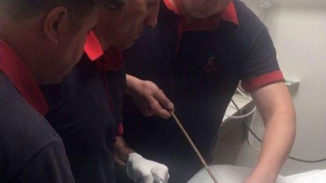 İnsaat İşçisinin Vücuduna 1 Metrelik Demir Saplandı