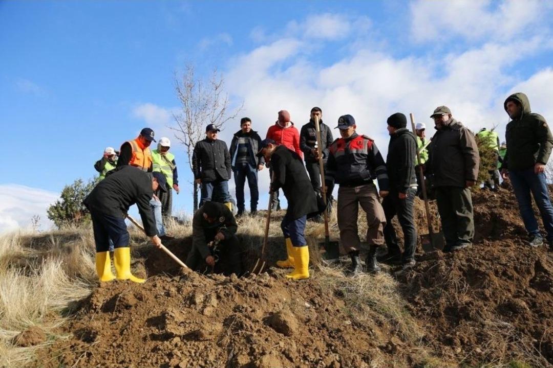 G&uuml;rleyik&rsquo;teki Heyelan B&ouml;lgesine 3 Bin 200 Fidan Dikildi
