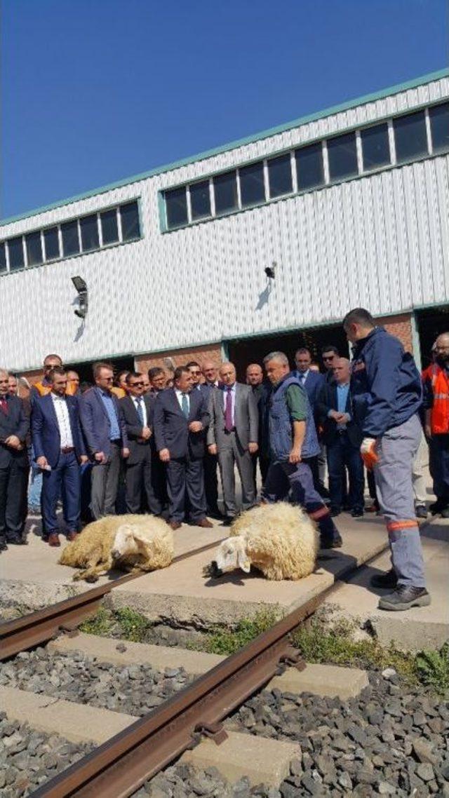 Metro Kazasının Ardından Kurban Kesildi