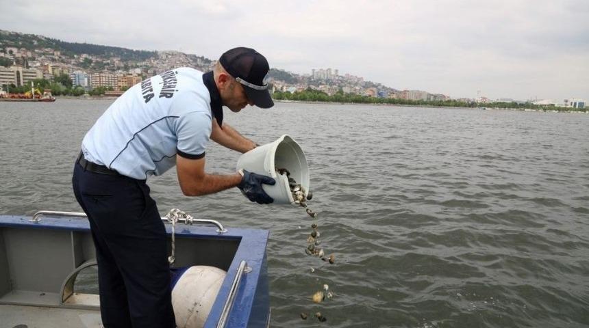 Ka&ccedil;ak Midye Avcılarına Baskın