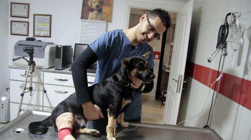 K&ouml;peği Ezen Vicdansız S&uuml;r&uuml;c&uuml; Kayıplara Karıştı