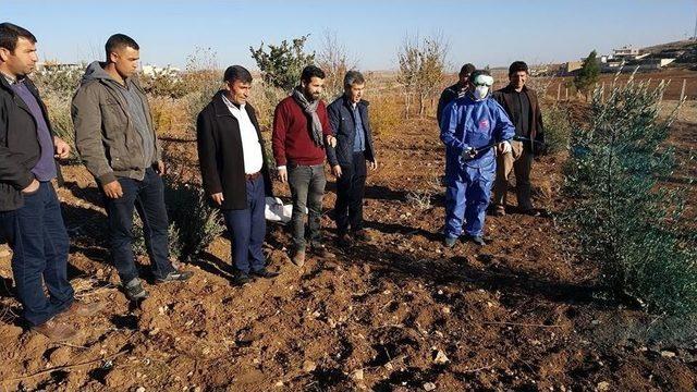 Midyat Ziraat Odası’ndan Çiftçilere Eğitim