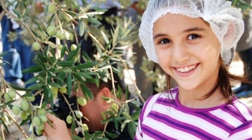 Zeytincilik Sekt&ouml;r&uuml; Ortadoğu Pazarında Atak Yaptı