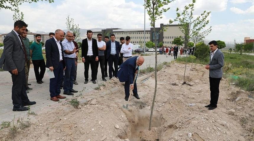 Niğde&rsquo;de, Afrin Şehitleri Anısına &Ccedil;ınar Fidanı Diktiler