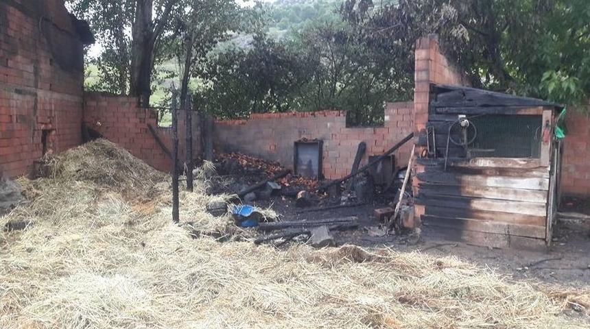 Tavşanlı&rsquo;da 30 Kaz Yıldırım D&uuml;şmesi Sonucu Telef Oldu