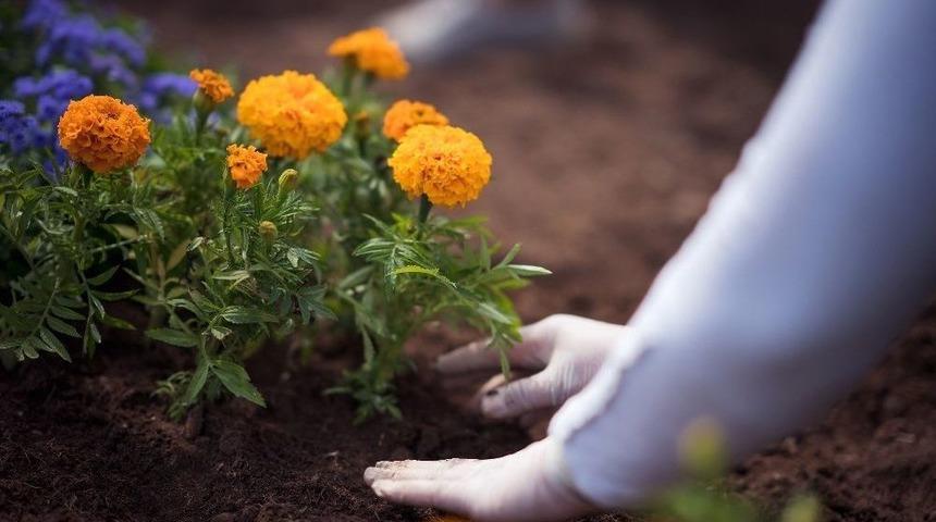 Tepebaşı &Ccedil;i&ccedil;ek A&ccedil;ıyor