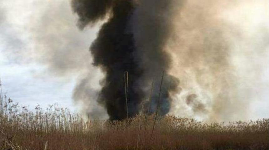 Eber G&ouml;l&uuml;&rsquo;nde &Ccedil;ıkan Yangında Bir&ccedil;ok Canlı Telef Oldu