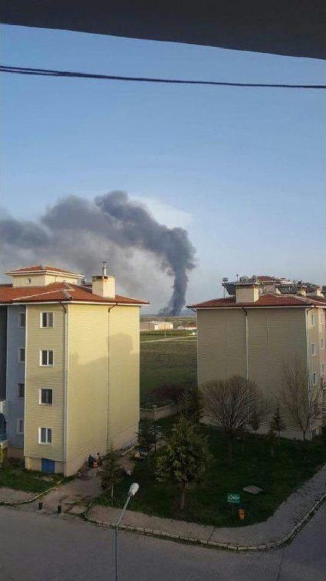 Eber Gölü’nde Çıkan Yangında Birçok Canlı Telef Oldu 1