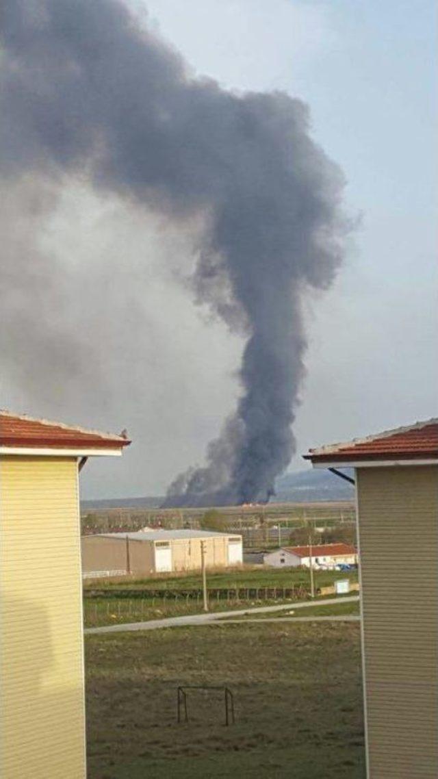 Eber Gölü’nde Çıkan Yangında Birçok Canlı Telef Oldu 2