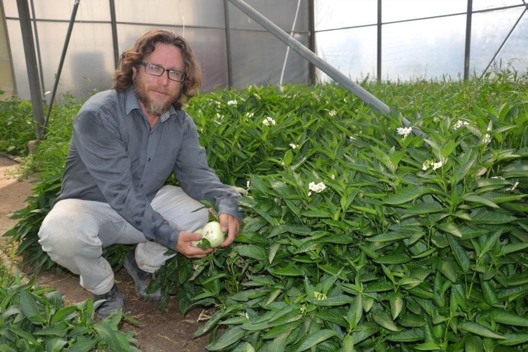 (&ouml;zel) Manisa&rsquo;da Yetiştirdiği Tropikal Meyveye Sipariş Yağıyor