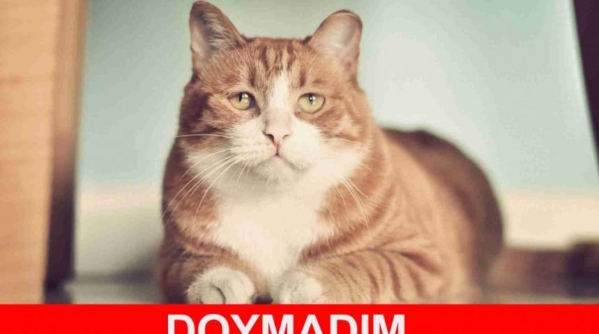 Tok Tutan 10 &Ouml;neri