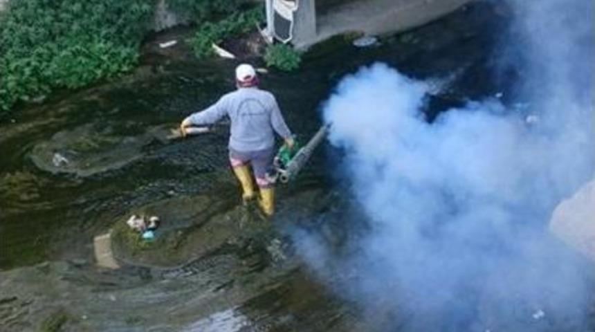 Mut&rsquo;ta Haşereyle M&uuml;cadele Başladı