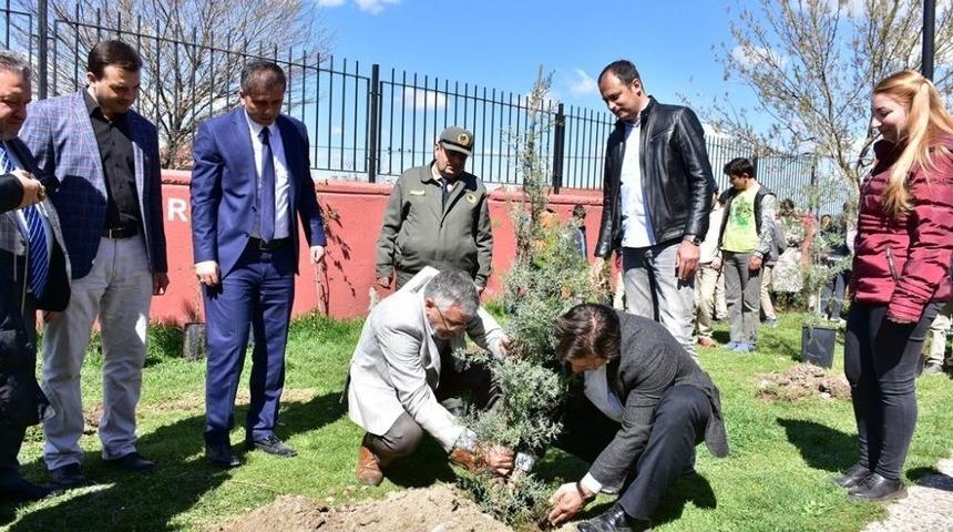 İn&ouml;n&uuml;&rsquo;de &Ouml;ğrencilerin Ağa&ccedil; Dikme Etkinliği