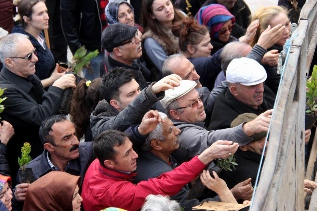 Samsun&rsquo;da Fidan İzdihamı