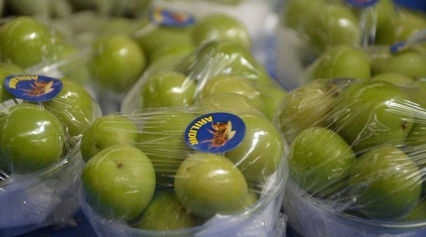 Kilosu 100 Tl&rsquo;den Tezgahlarda Yerini Aldı