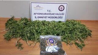 Emniyetin Baskınıyla Bir Evden 194 Kök Hint Keneviri