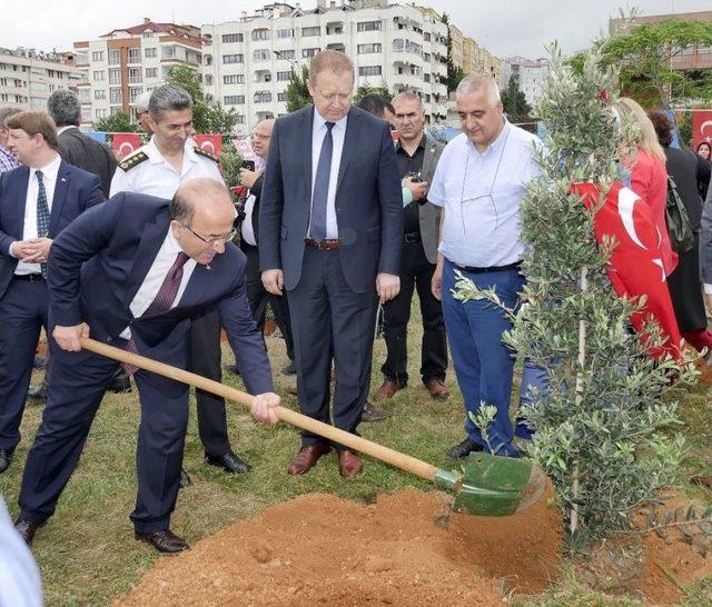Afrin Şehitleri İçin Trabzon’da Hatıra Ormanı Oluşturuldu