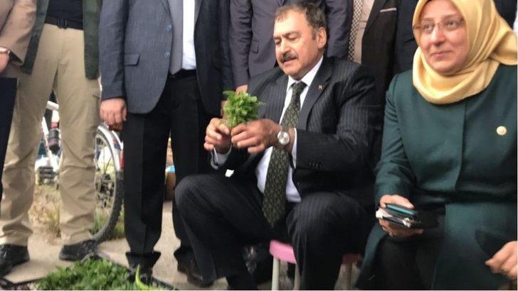 Bakan Eroğlu Pazarda Tezgah Başına Geçti Biber Fidesi Sattı G4