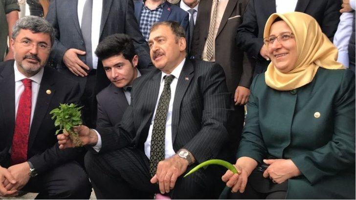 Bakan Eroğlu Pazarda Tezgah Başına Geçti Biber Fidesi Sattı G5