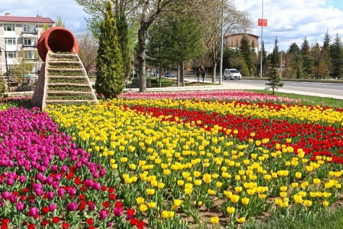 Elazığ&rsquo;da İlkbahar G&uuml;zelliği
