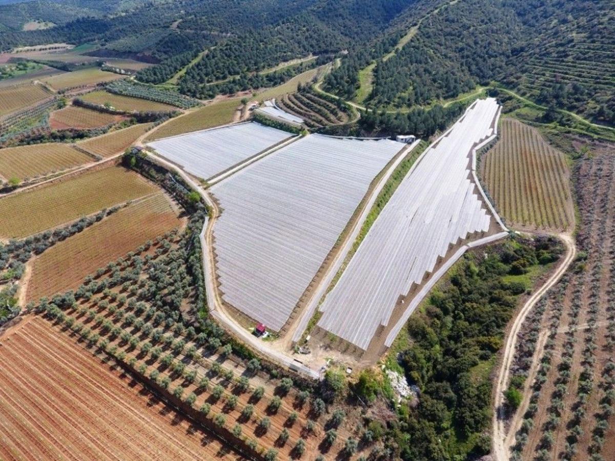 Manisa&rsquo;da Doluya Karşı Bağların &Uuml;zerine File Kuruluyor