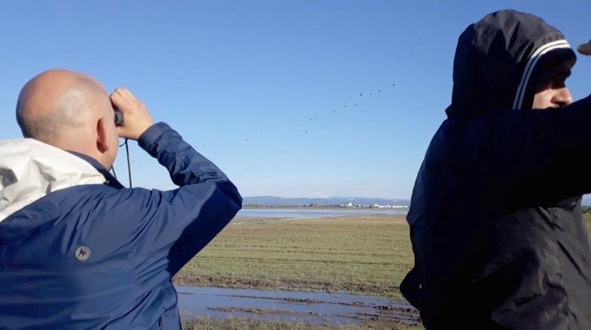 Karacabey&rsquo;de Pelikan Sayımı Başladı