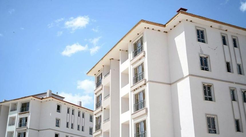 Kırlangı&ccedil; Yuvalar, İnşaat &Ccedil;alışmalarını Durdurdu