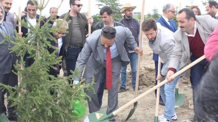Van Yyü’de 10 Bin Fidan Dikildi