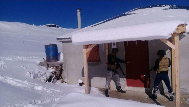 Trabzon’un Dağlarında Aranmadık Yer Bırakmıyorlar