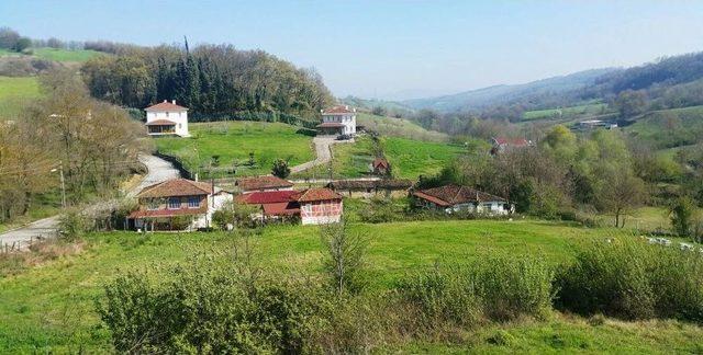 Kaymakam Engin, Vatandaşlarla Buluştu 1