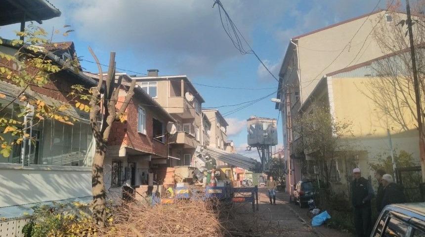 Sultanbeyli&rsquo;de Ağa&ccedil; Budama &Ccedil;alışmaları S&uuml;r&uuml;yor