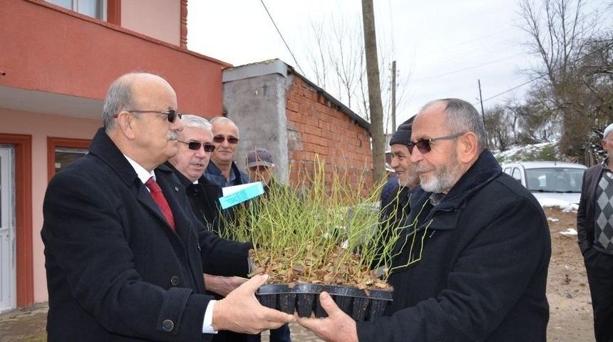 Kırsal Yaban Mersini İle Kalkınıyor