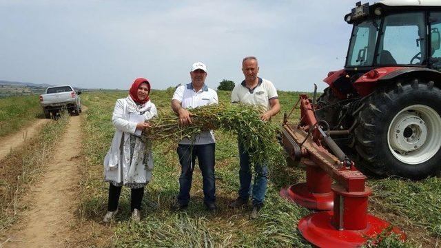 Büyükşehir’in Tohum Desteği İle Verim Arttı