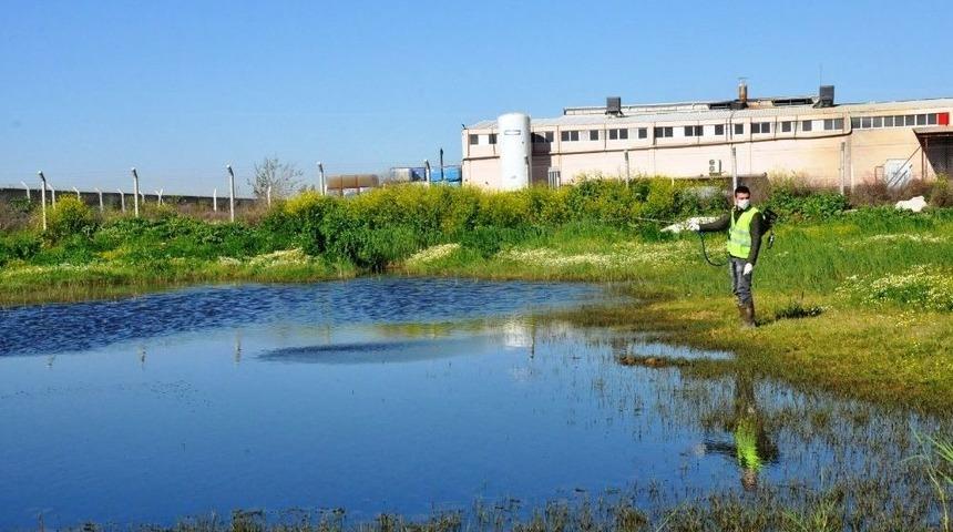 Nazilli&rsquo;de İla&ccedil;lama &Ccedil;alışmaları S&uuml;r&uuml;yor