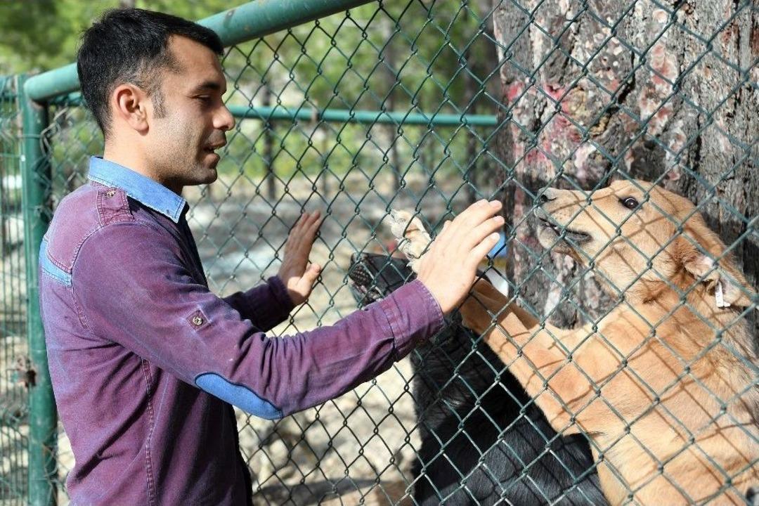 Otel Konforunda Hayvan Barınağı